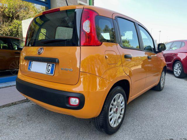 FIAT Panda 1.0 FIREFLY HYBRID 69CV BLUETOOTH ADATTA NEOPAT.