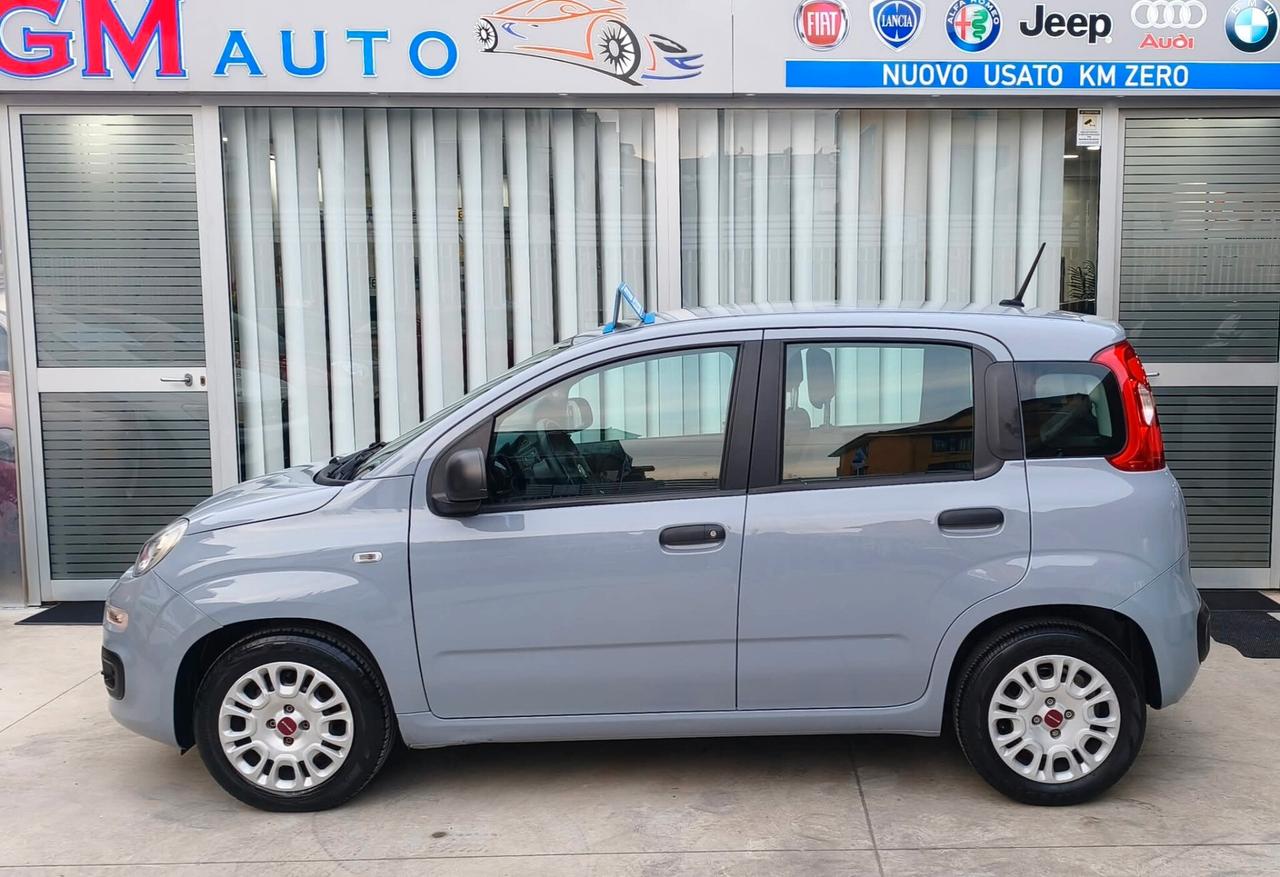 Fiat Panda 1.0 benzina Hybrid 7/2021