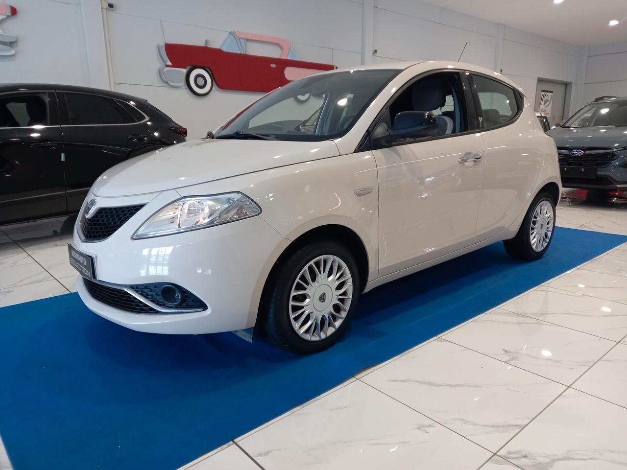 Lancia Ypsilon 1.2 69 CV 5 porte 77000 km Neopatentati
