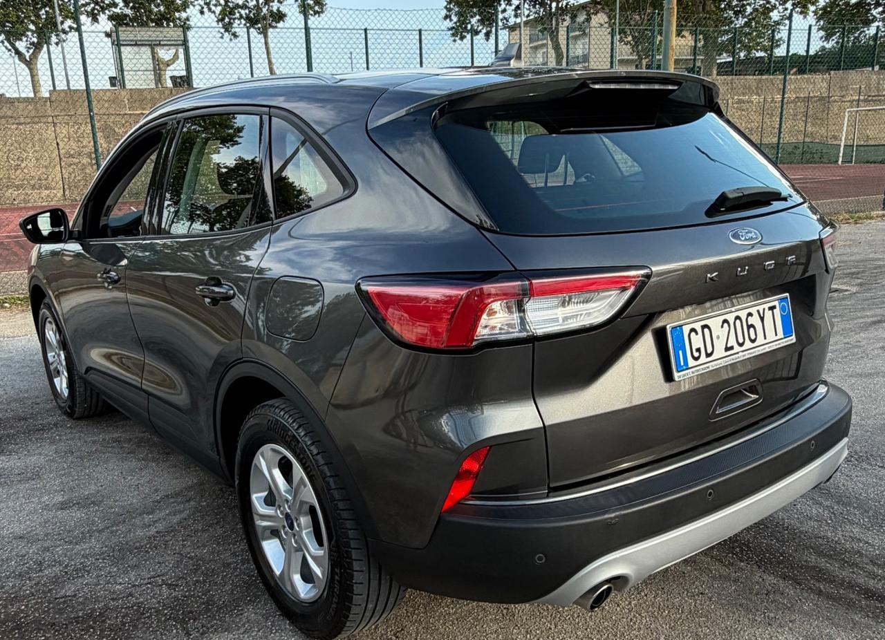 Ford Kuga 1.5 EcoBlue 120 CV 2WD Titanium