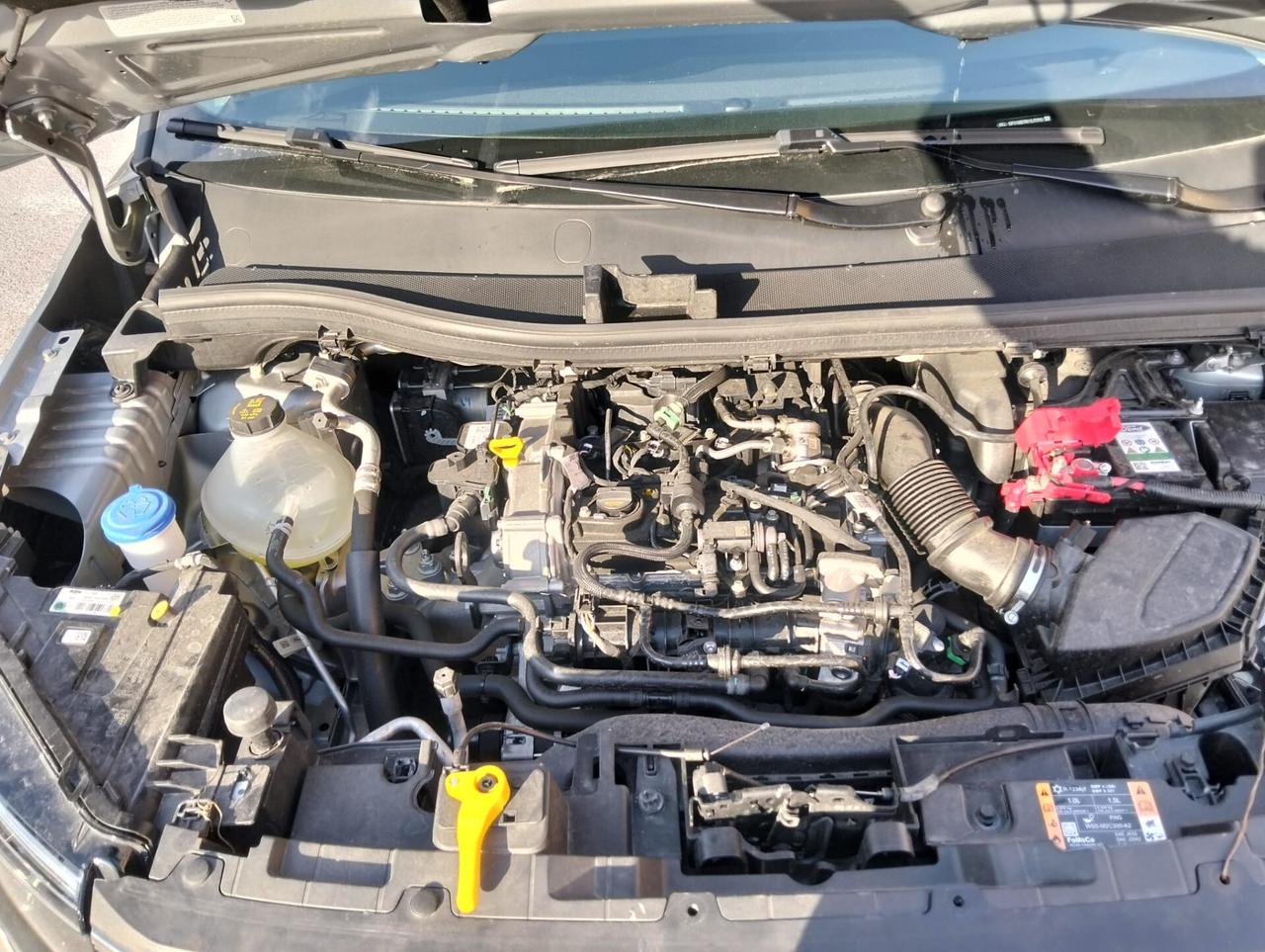 Ford Tourneo Courier 1.0 EcoBoost 2025 SINISTRATO