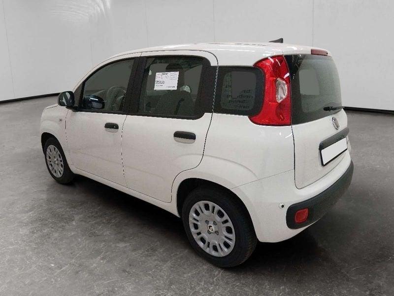 FIAT Pandina 1.0 firefly hybrid Icon s&s 70cv 5p.ti