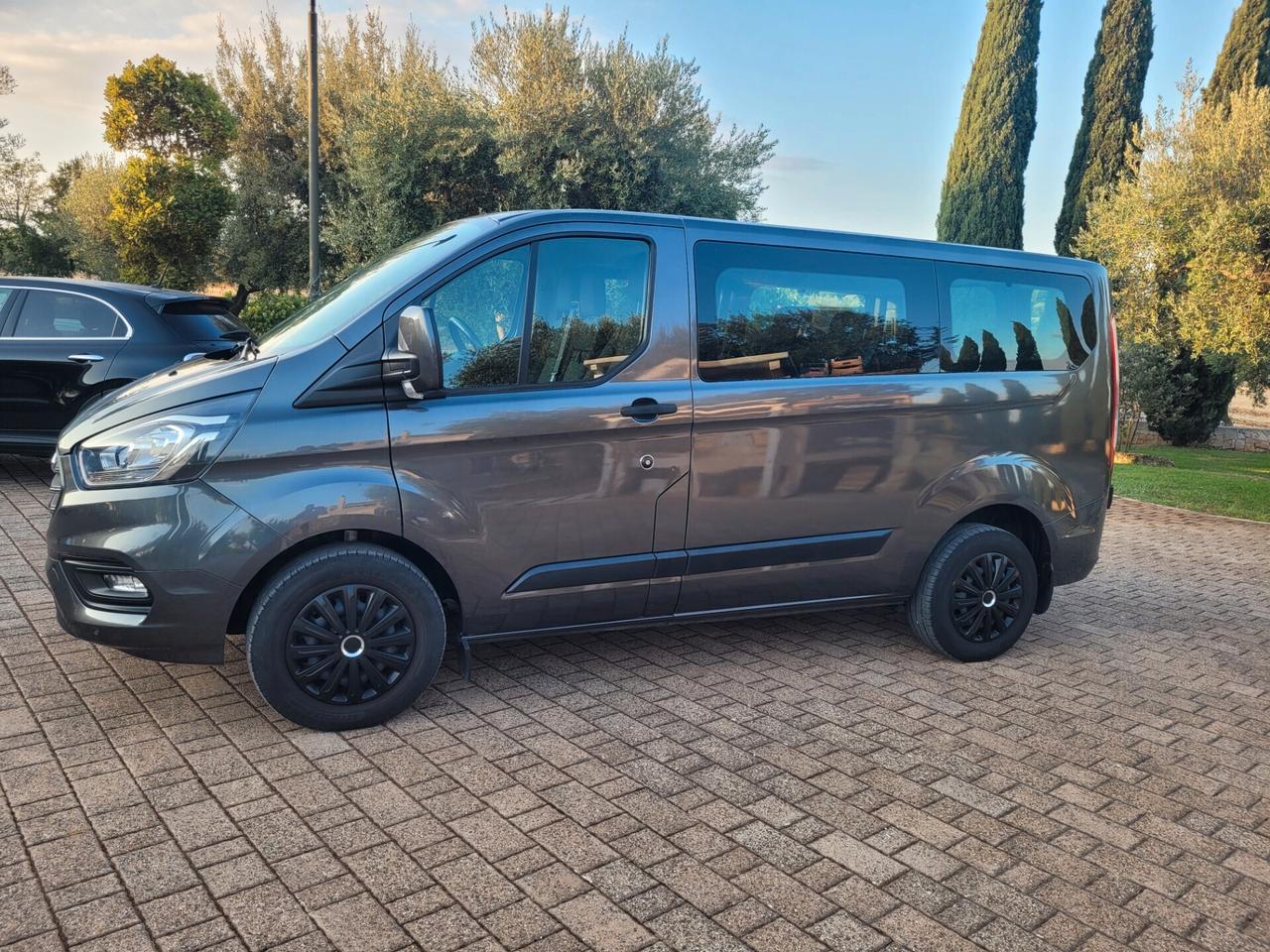 Ford Transit 350 2.0TDCi EcoBlue 130CV PL-TM Combi Trend N1