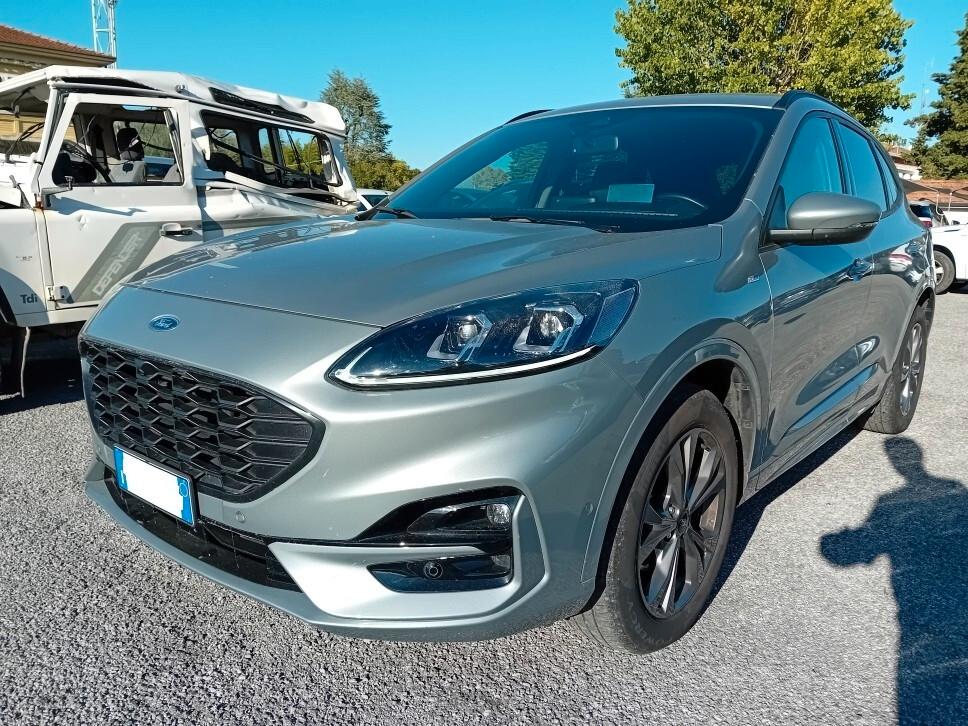 Ford Kuga 2.0 EcoBlue 150 CV aut. AWD ST-Line