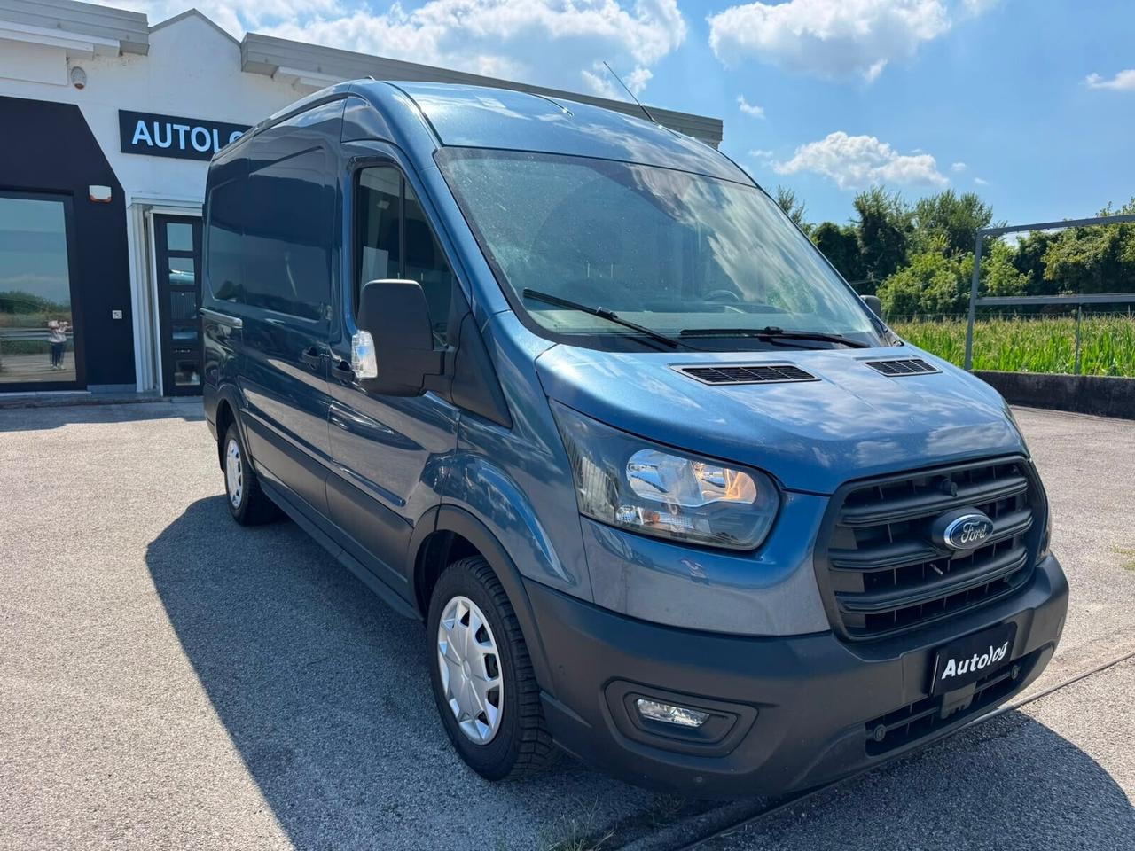 Ford Transit 310 2.0TDCi EcoBlue PM-TM Furgone Trend