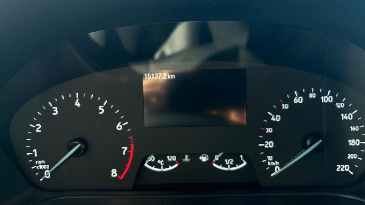 Ford Fiesta Active X 1.0 Ecoboost Hybrid 125 CV 5 porte