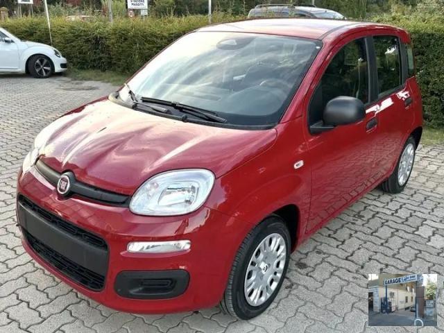 FIAT - Panda - 1.0 FireFly S&S Hybrid Launch Ed.