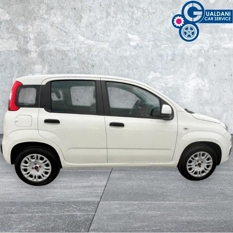 FIAT Panda 3ª serie Panda 1.2 Easy Van 4 posti