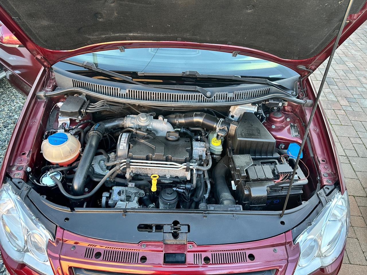 Volkswagen Polo 1.4/69CV TDI 5p. Sportline