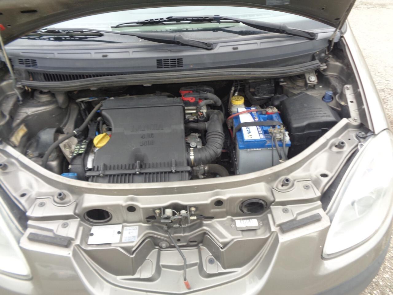 MUSA 1.4 16V Oro distribuzione km0