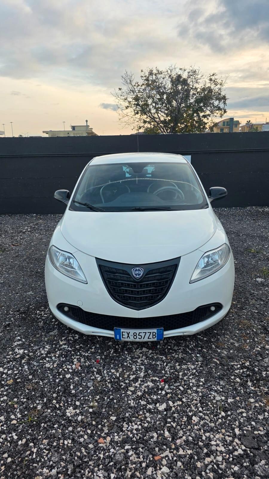 Lancia Ypsilon 1.2 69 CV 5 porte Elefantino