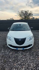 Lancia Ypsilon 1.2 69 CV 5 porte Elefantino