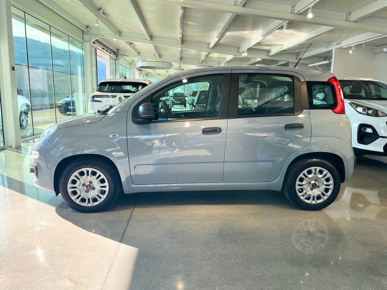 Fiat Panda 1.0 FireFly S&S Hybrid *PREZZO REALE*