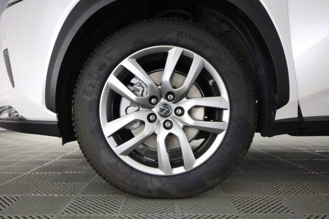 LEXUS Other NX NX Hybrid 4WD Executive