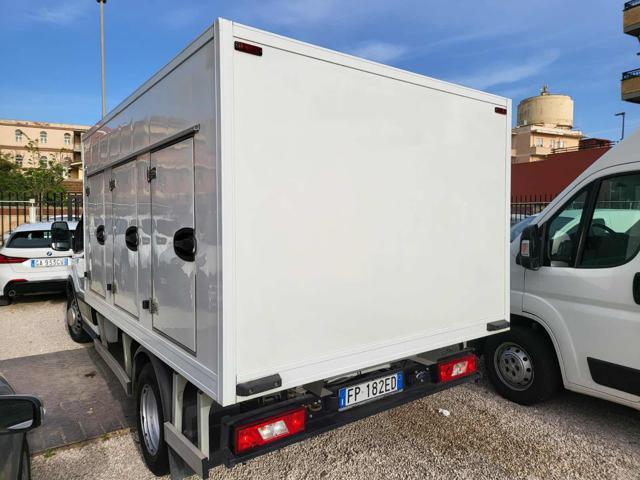 FORD Transit 350 2.0TDCi EcoBlue 130CV surgelati piastre