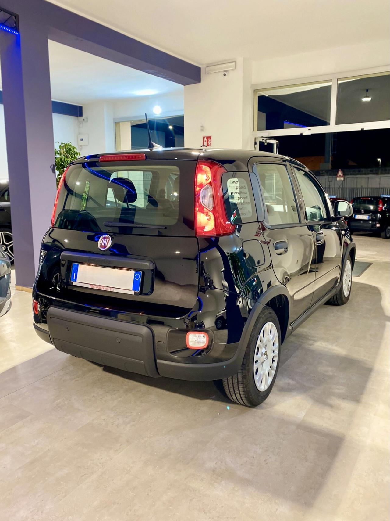Fiat Panda 1.0 FireFly S&S Hybrid Pandina