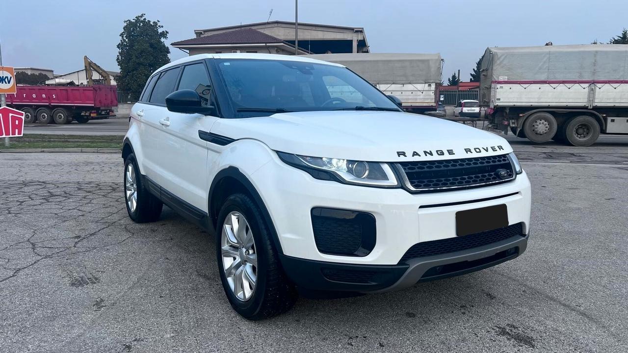 Land Rover Range Rover Evoque Range Rover Evoque 2.0 TD4 150 CV 5p. Pure