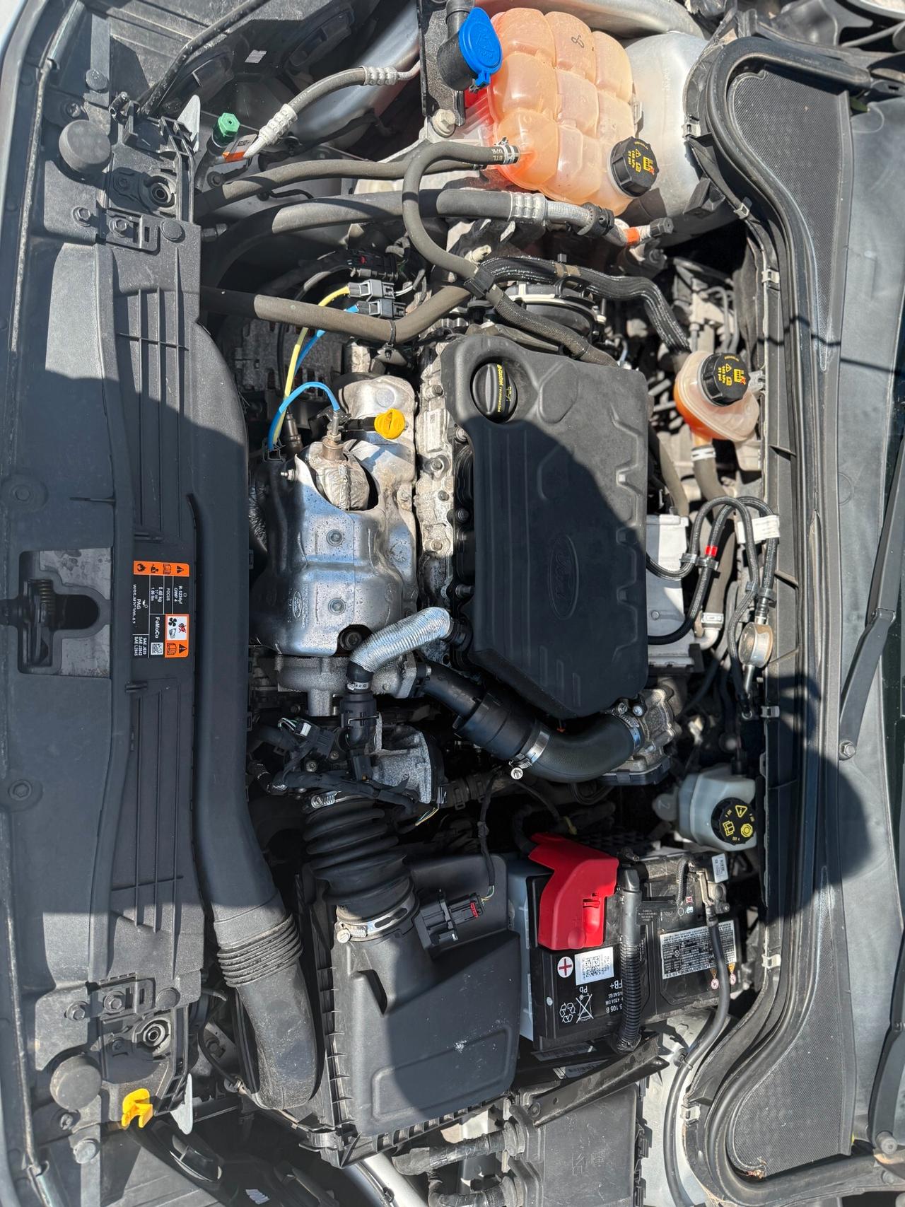 Ford Focus 1.5 EcoBlue 95 CV SW Business