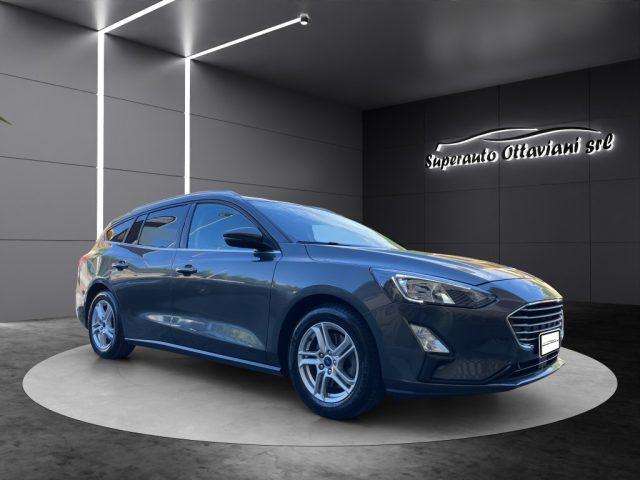 FORD Focus 1.5 EcoBlue 120 CV SW Business N1 5 posti