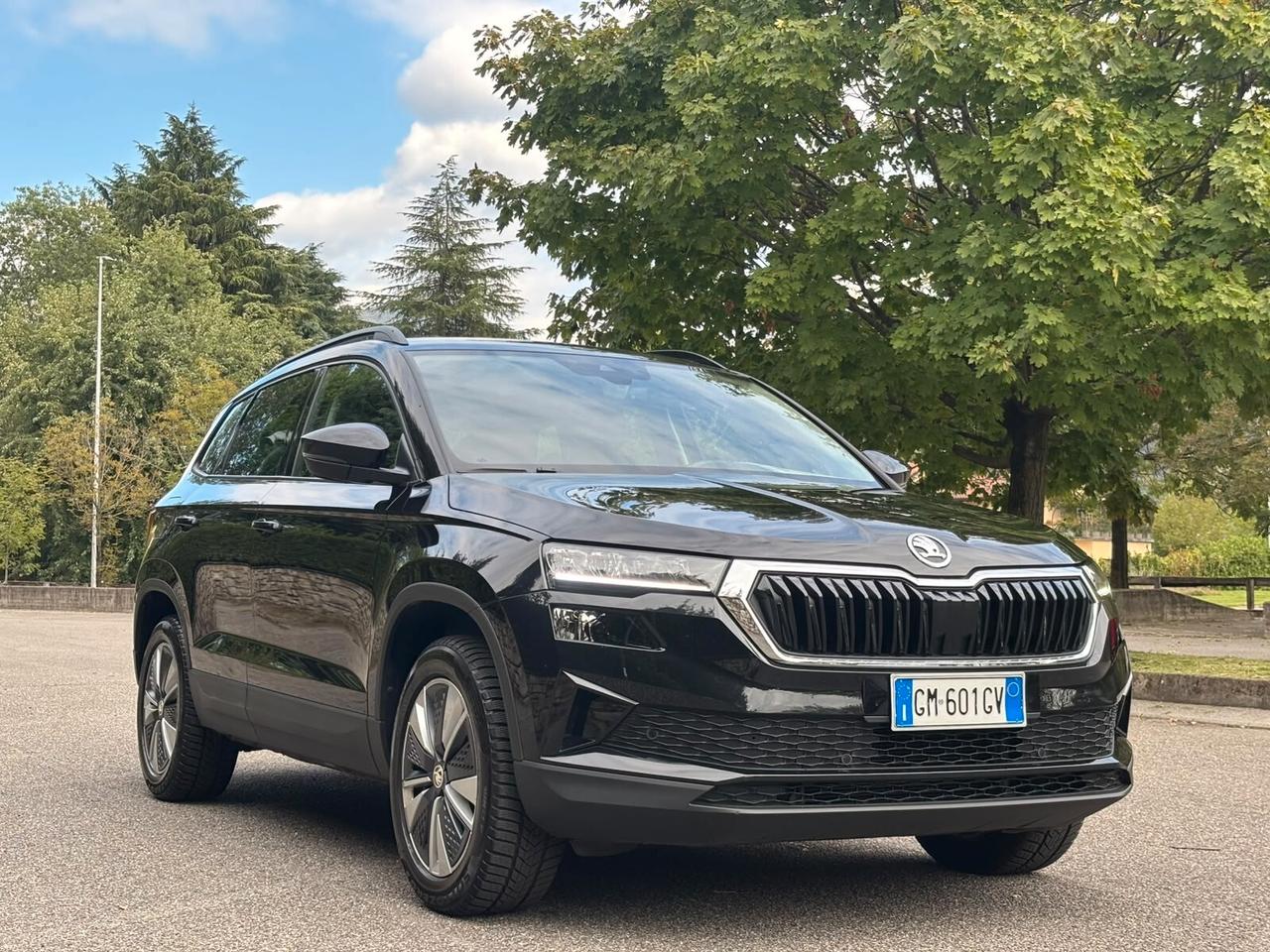 Skoda Karoq 2.0 TDI EVO SCR 4x4 DSG Executive