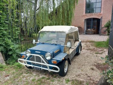 Mini Altro Mini Moke Pavesi