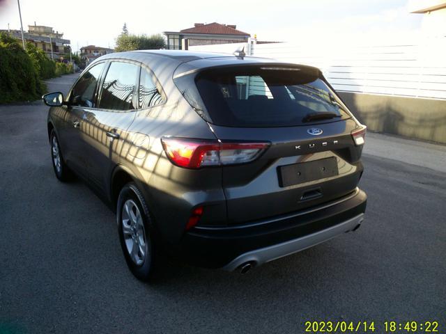FORD Kuga 1.5 EcoBlue 120 CV aut. 2WD Titanium Business
