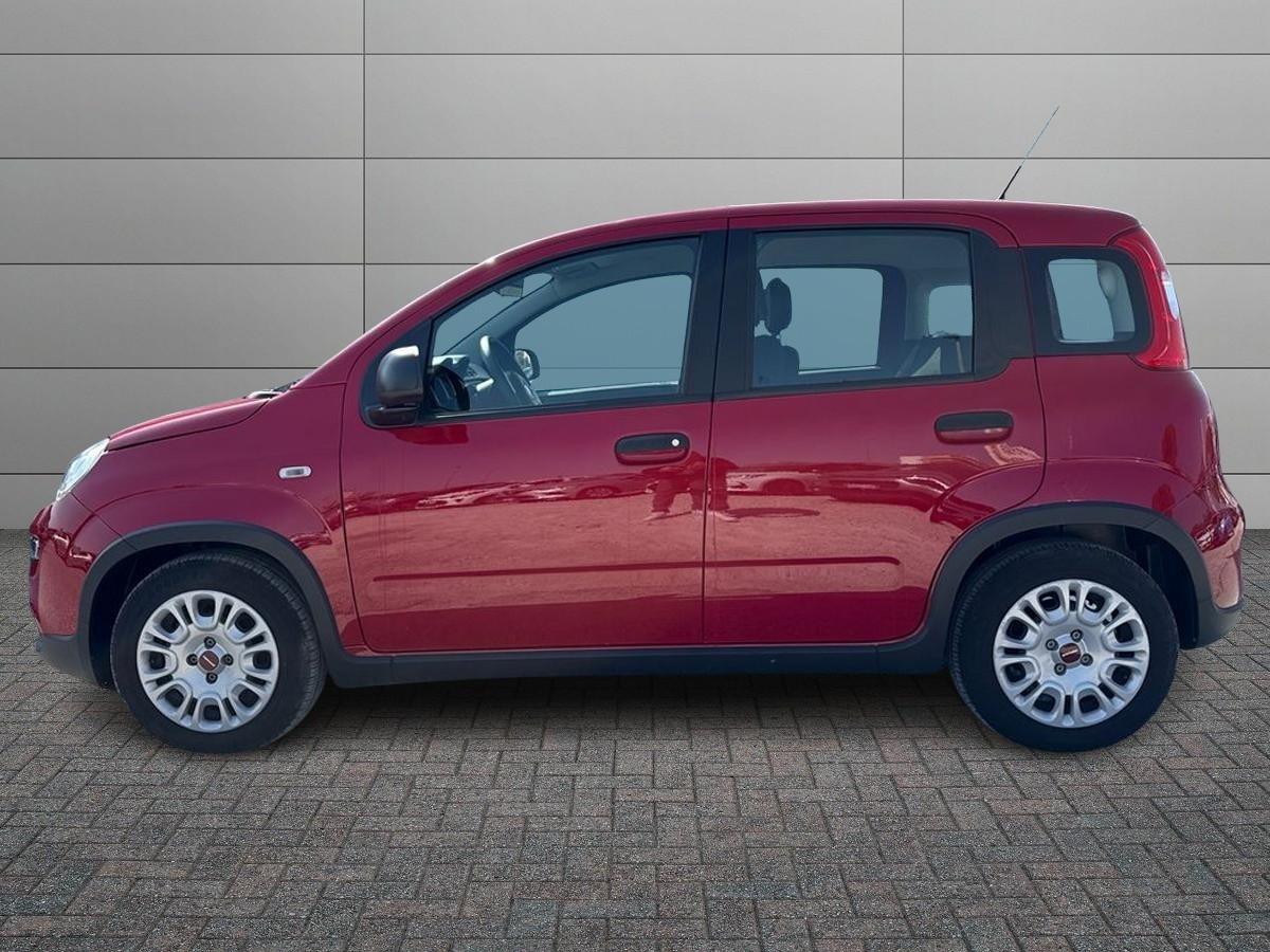 FIAT Panda III 2021 - Panda 1.0 firefly hybrid s&s 70cv