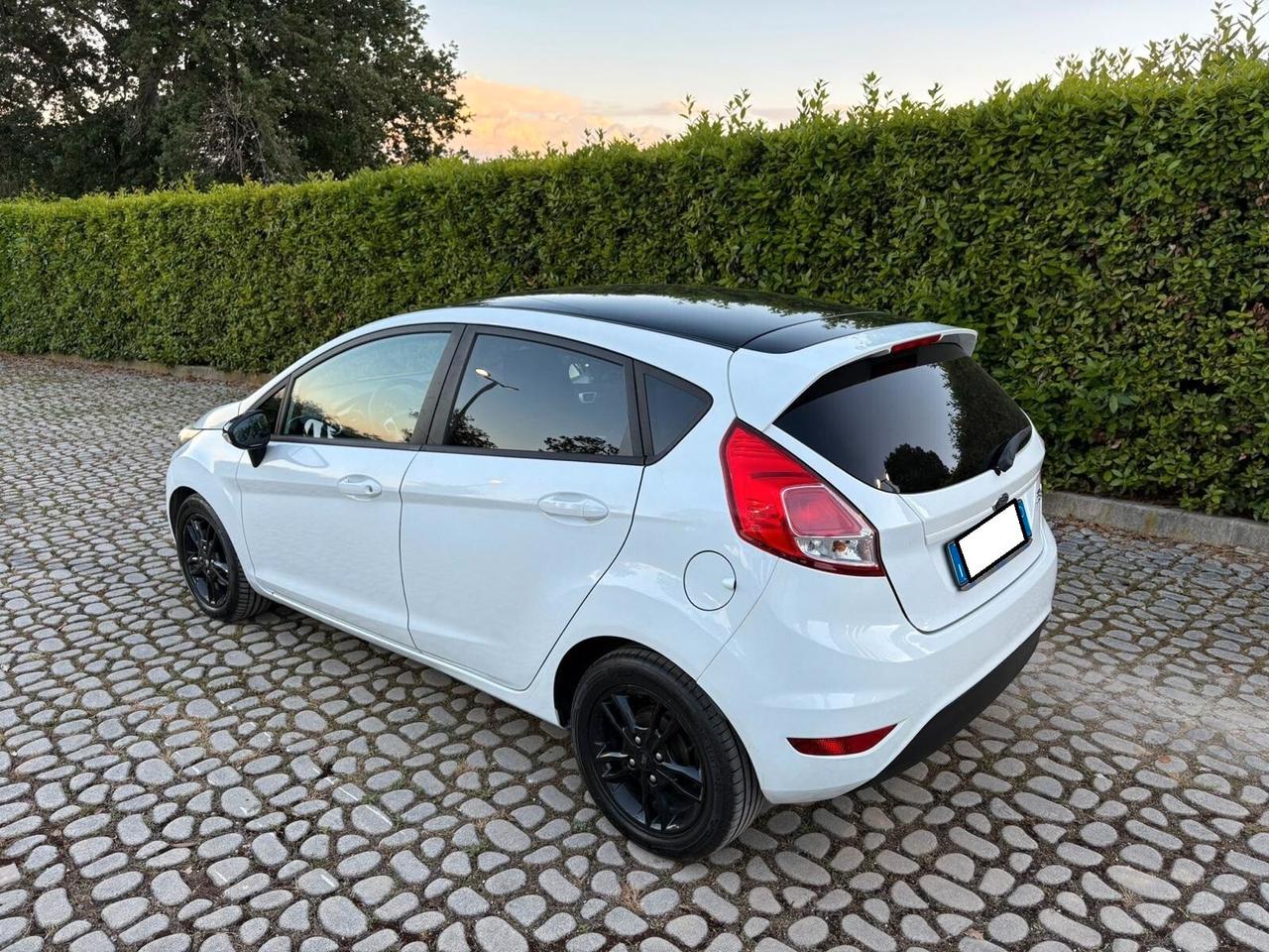 FORD Fiesta 1.5TDCi 75CV 5 porte ST-Line - 2017