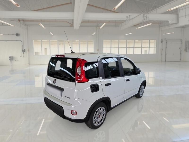 FIAT PANDA 1.0 FireFly 70cv S/S Hybrid