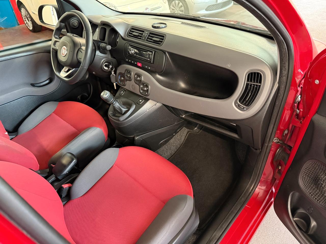 Fiat Panda 1.2 OK NEOPATENTATI - CINGHIA OK
