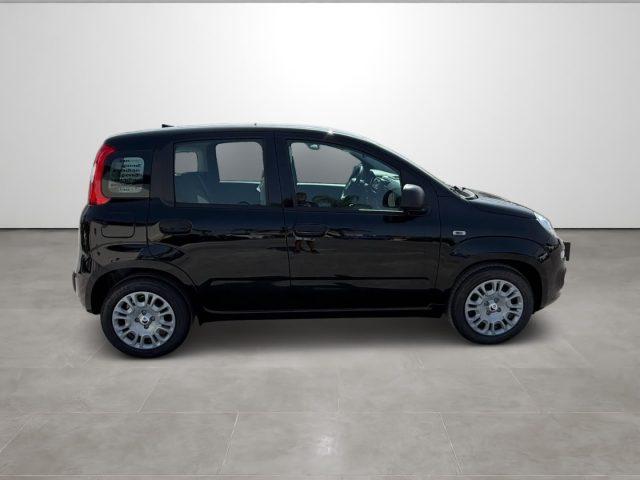 FIAT Pandina 1.0 FireFly 65 CV Hybrid Icon