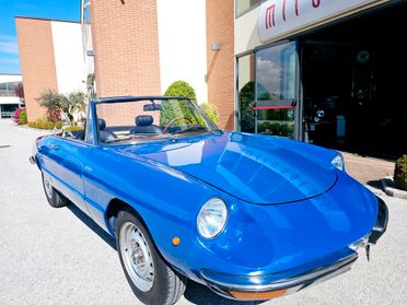 Alfa Romeo Spider Alfa romeo duetto coda tronca Asi