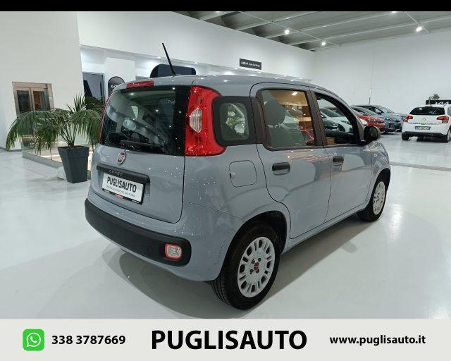 FIAT Panda 1.2 Easy