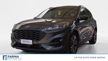 FORD Kuga III 2020 - Kuga 1.5 ecoblue ST-Line 2wd 120cv