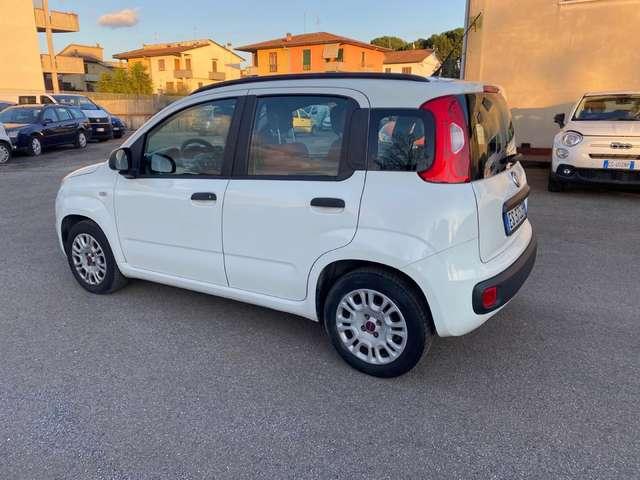 Fiat Panda Panda 1.2 Easy 69cv