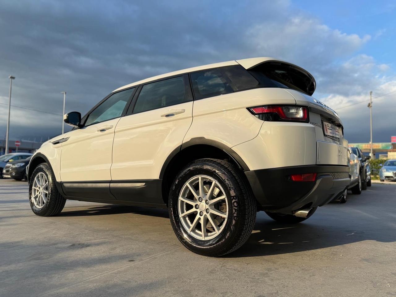 Land Rover Range Evoque 2.0 TD4 150 CV 5p. Business Edition Pure