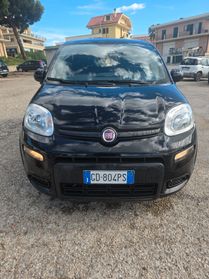 Fiat Panda 1.0 FireFly S&S Hybrid Sport