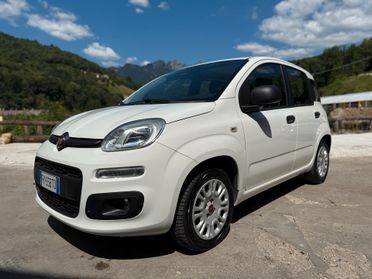 FIAT PANDA 1.2 EASY 5 POSTI 69CV