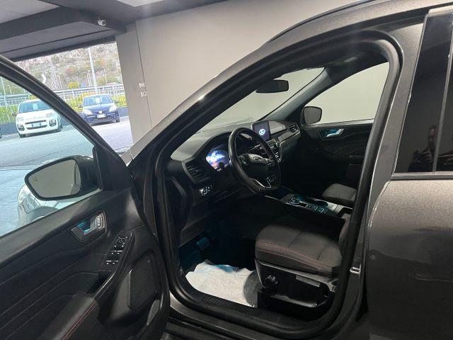 FORD Kuga 1.5 EcoBlue 120 CV aut. 2WD ST-Line
