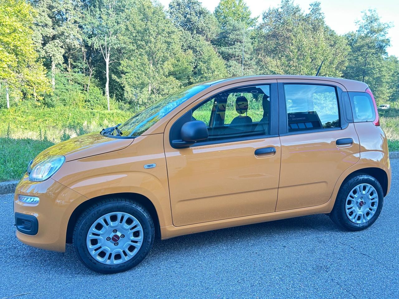 Fiat Panda 1.0 FireFly S&S Hybrid*SOLO 17000km*