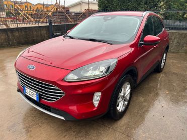Ford Kuga 2.0 EcoBlue Hybrid 150 CV 2WD Titanium Business