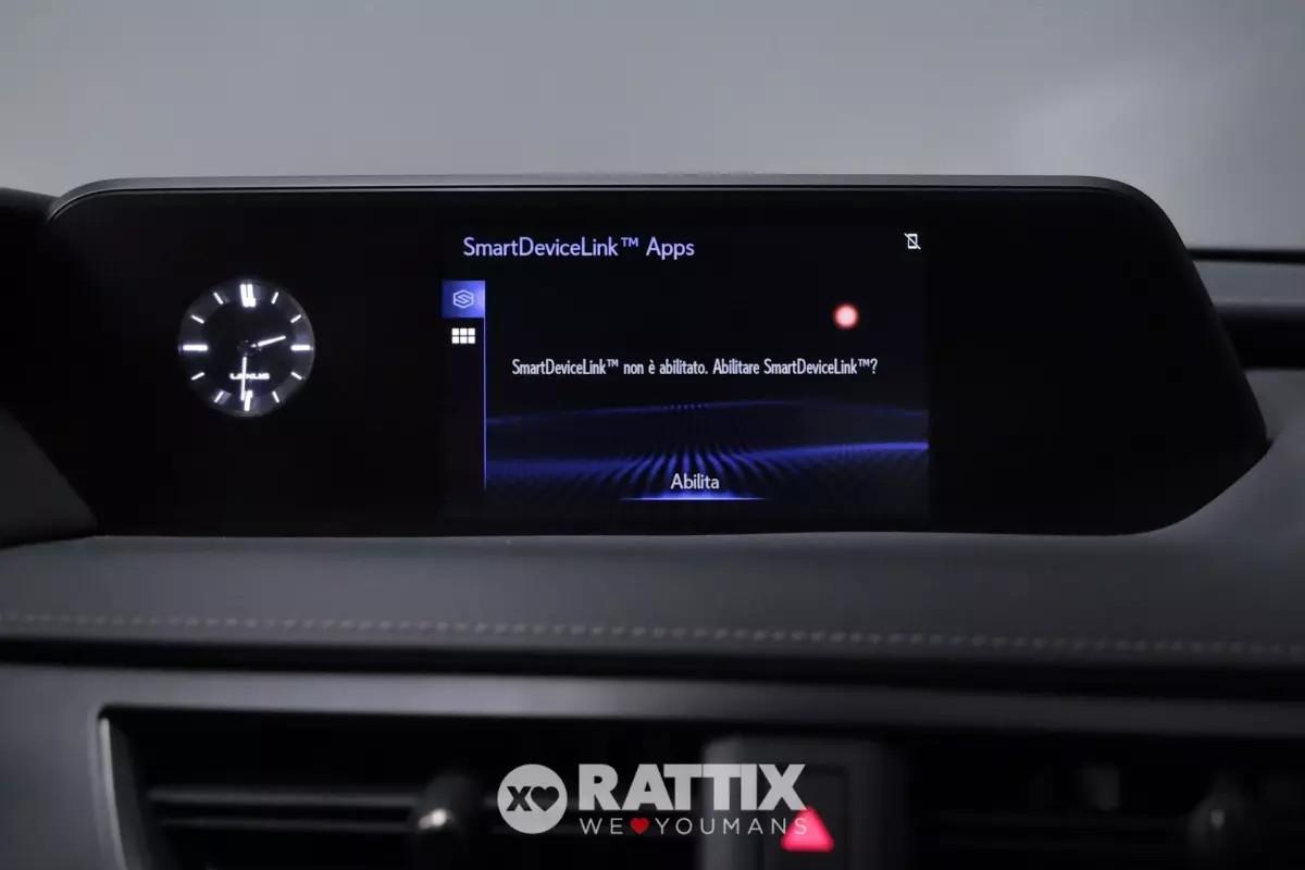 Lexus UX 250h 2.0 Hybrid Executive CVT