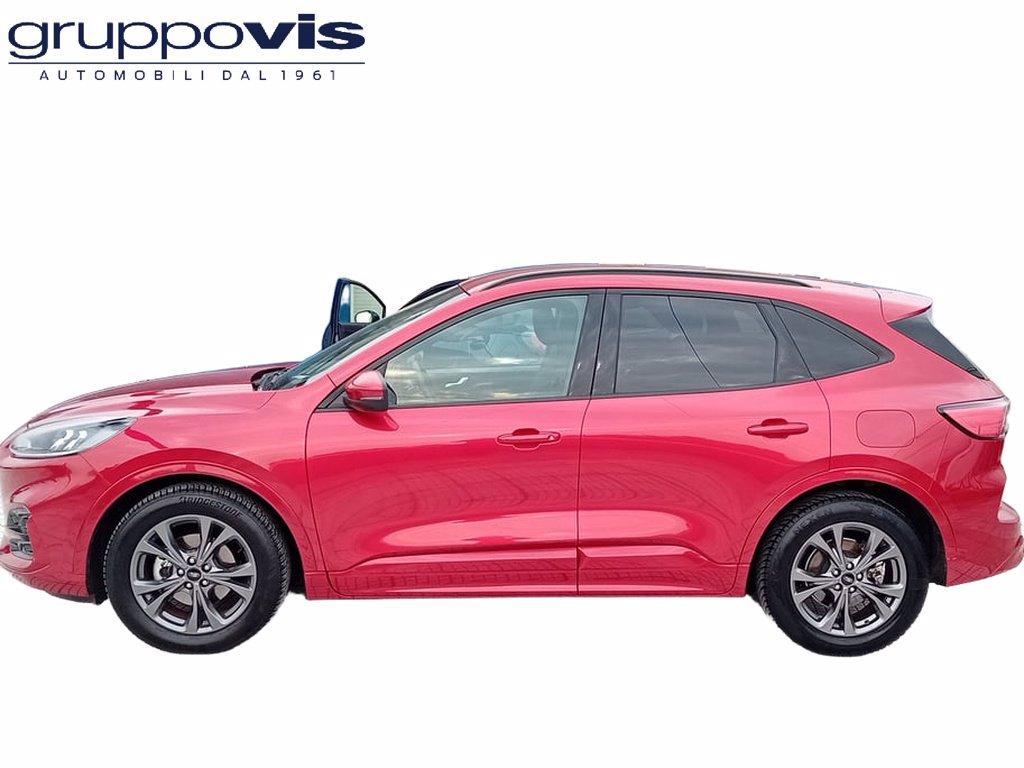 FORD Kuga full hybrid ST-Line 2wd Automatica del 2021
