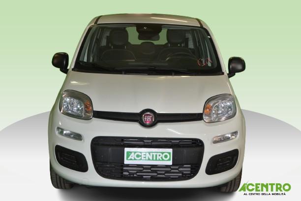 FIAT PANDA - PANDA 1.0 70CV HYBRID ICON