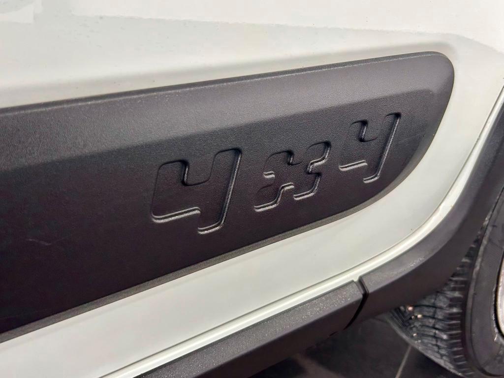 Fiat Panda 4x4 Panda 1.3 mjt 16v 4x4 s&s 95cv