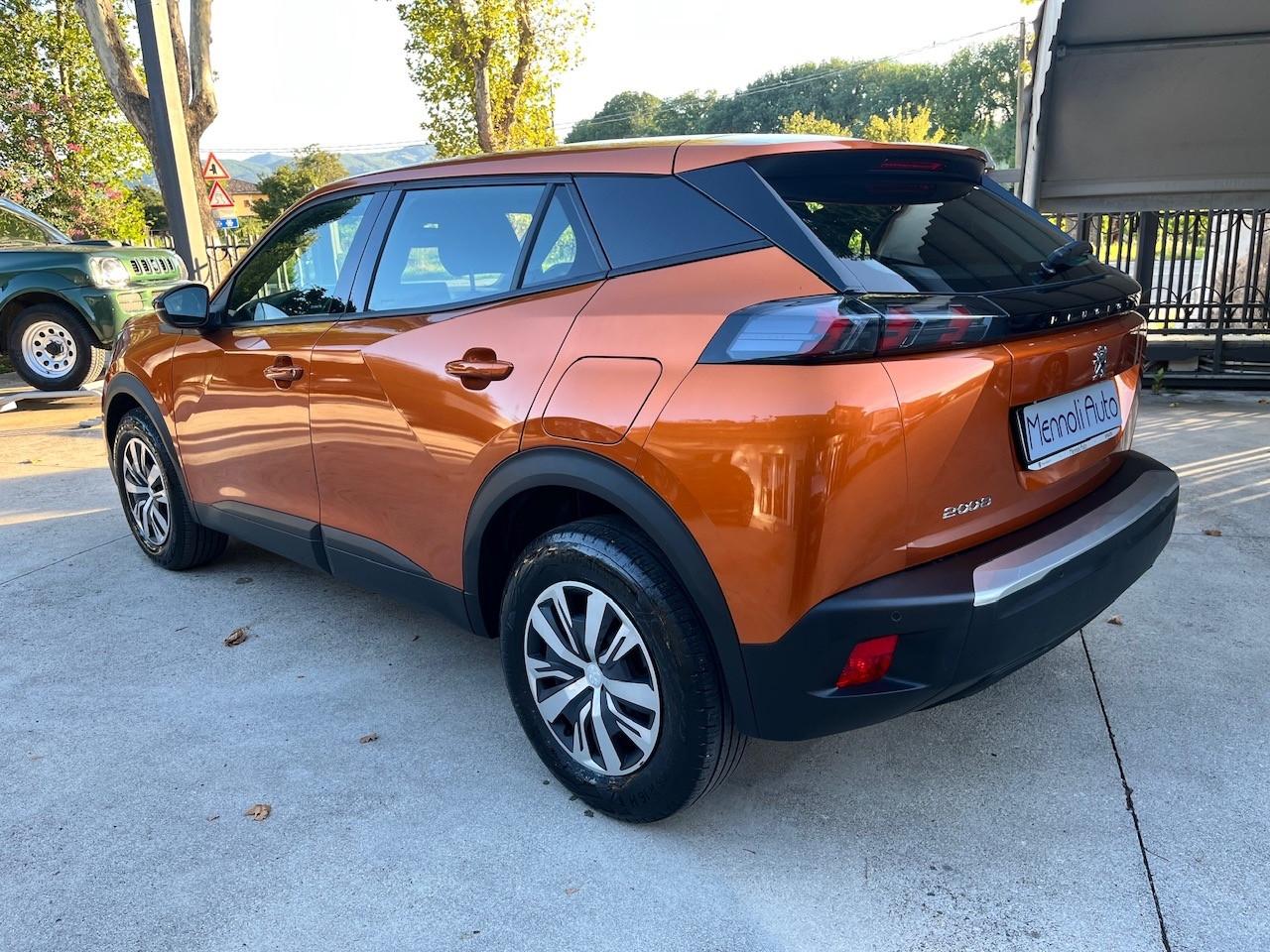 Peugeot 2008 PureTech 100 S&S Active