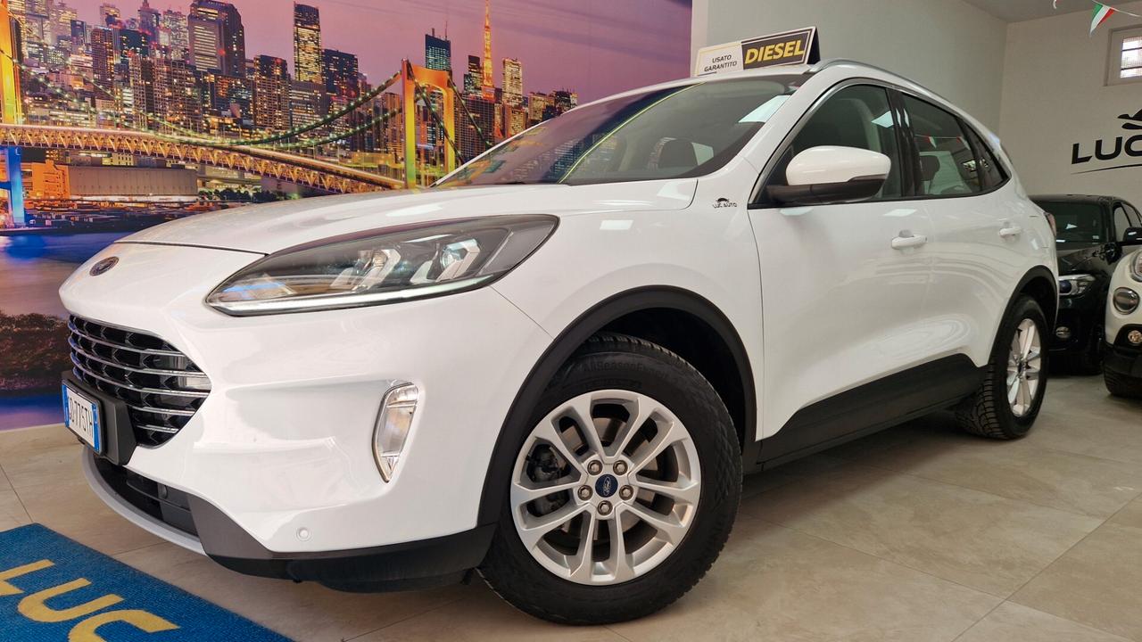 Ford Kuga 1.5 EcoBlue 120 CV aut. 2WD Titanium Business