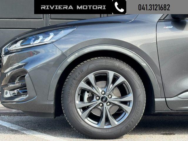 FORD Kuga 2.0 EcoBlue 120 CV aut. ST-Line