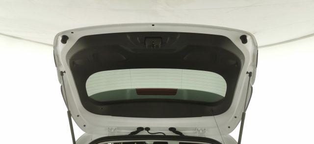 FORD Fiesta 1.0 Ecoboost Hybrid 125 CV 5 porte Active