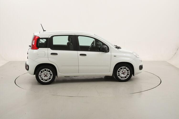 Fiat Panda Hybrid BR173885 1.0 Mild Hybrid 70CV